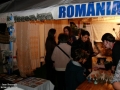 2009 - Evenimente culturale - Artisti romani la festivalul tamisei 2009